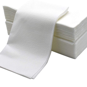 CARTA ASCIUGAMANI A SECCO CF 50PZ